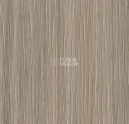 Линолеум Forbo Marmoleum Striato Textura 3573 trace of nature фото 1 | FLOORDEALER